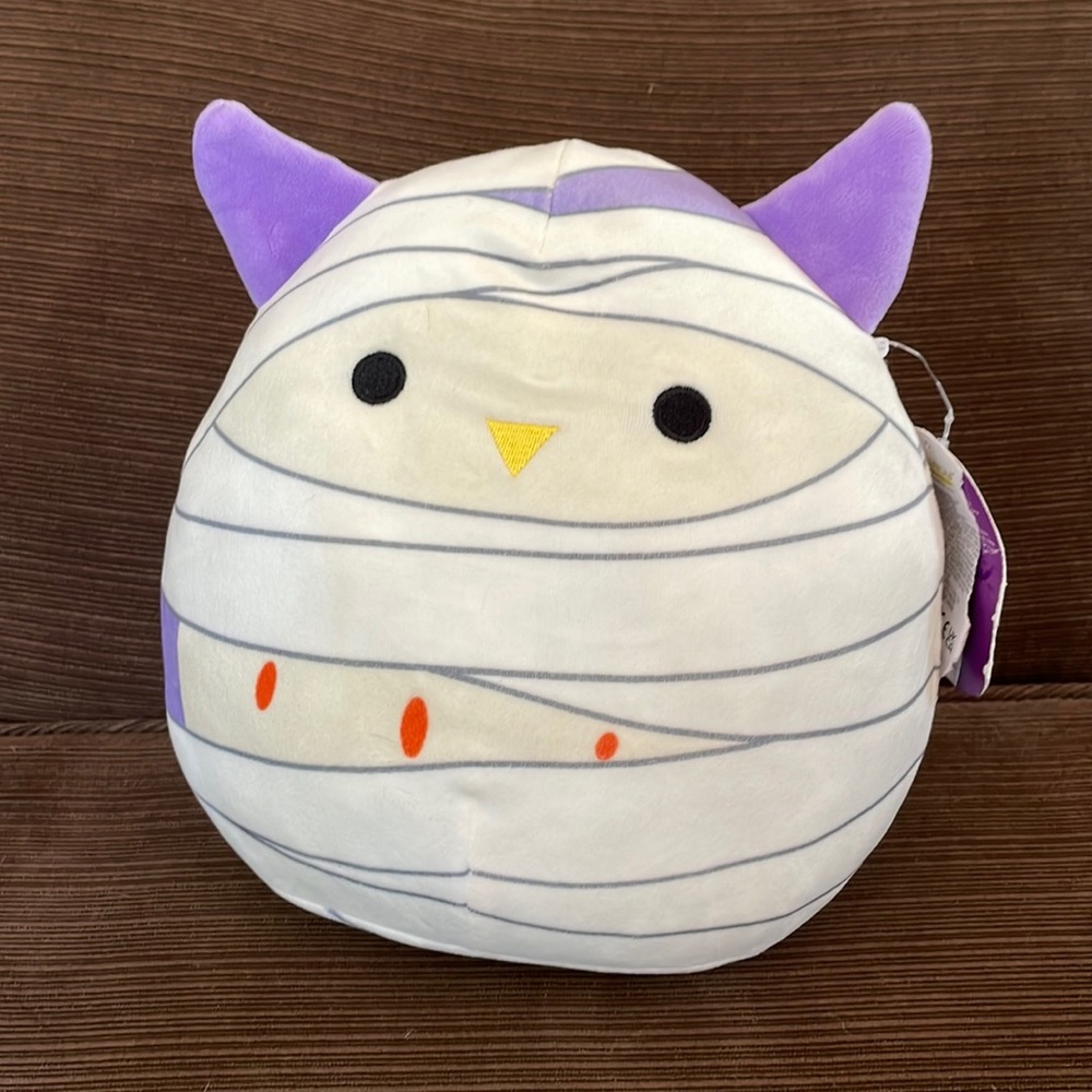 Owl named Holly squash, mellow